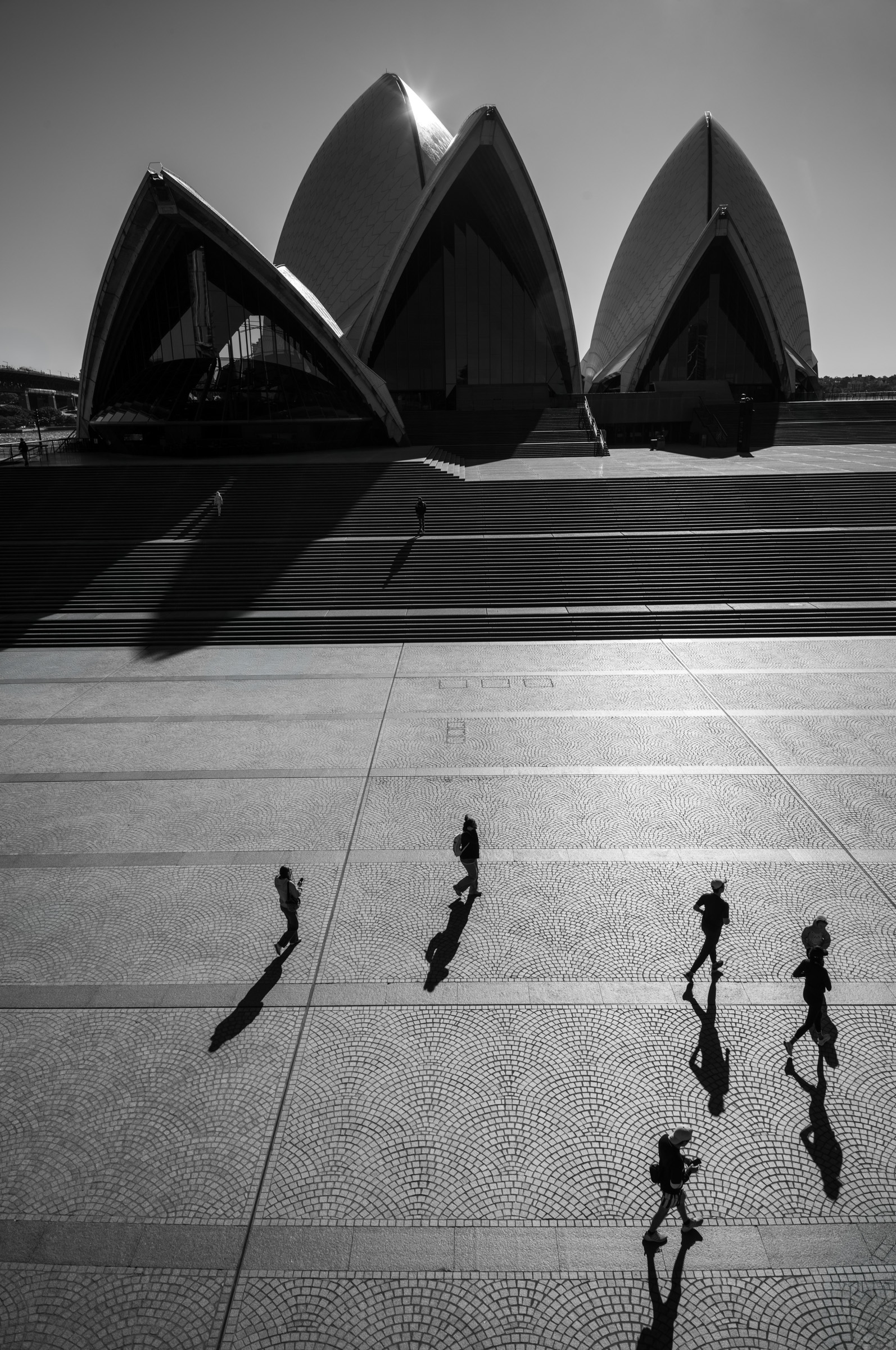 Sydney Opera House in hard low sun, figures and long shadows crossing the forecourt